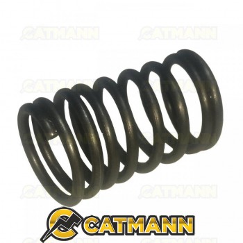 Пружина клапана внутренняя S1100/S195