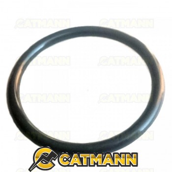 Кольцо уплотнительное 63х5,7