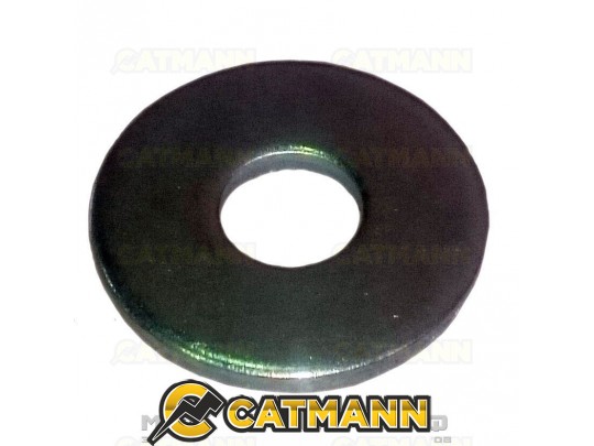 Шайба 12 (увелич.)