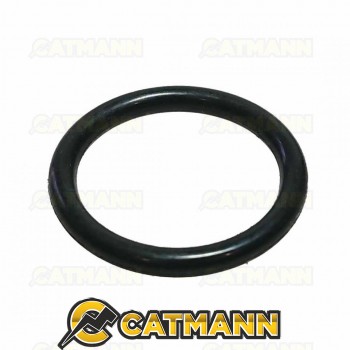 Кольцо уплотнительное 22х2