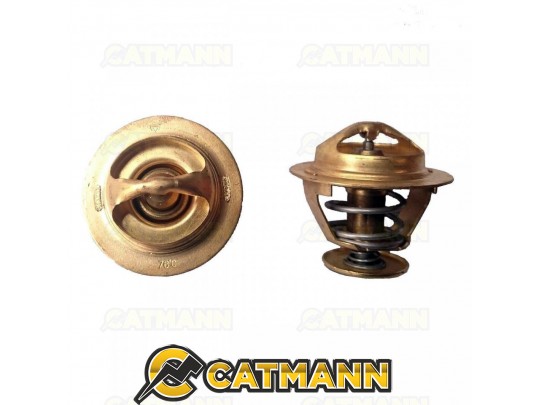 Термостат TY290/295