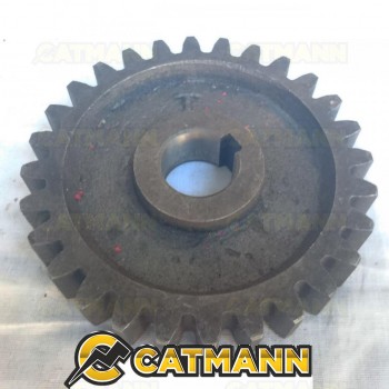 Шестерня цилиндрическая (28 зубьев, под шпонку) Почвофреза 1GQN-120/140