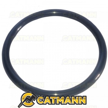 Кольцо уплотнительное 58х5,8