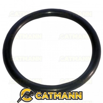 Кольцо уплотнительное 43х4,7