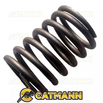 Пружина клапана наружная TY290/TY295