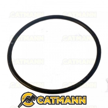 Кольцо уплотнительное 69х3,55