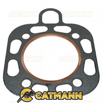 Прокладка ГБЦ DLH195 (D=96 мм. Габариты 160Х205)